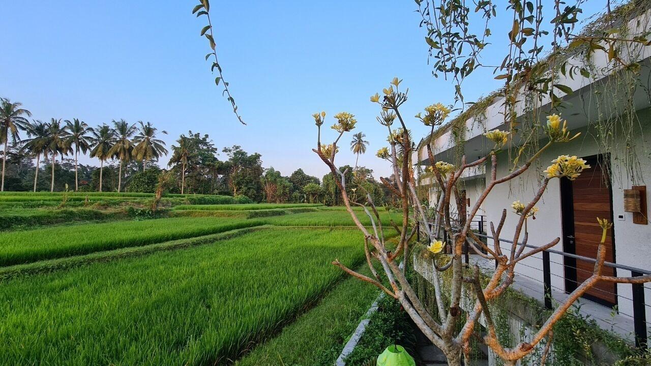 Готель Ayurvedagram Bali Убуд Екстер'єр фото