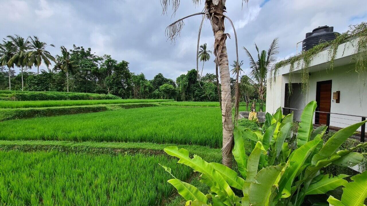 Готель Ayurvedagram Bali Убуд Екстер'єр фото