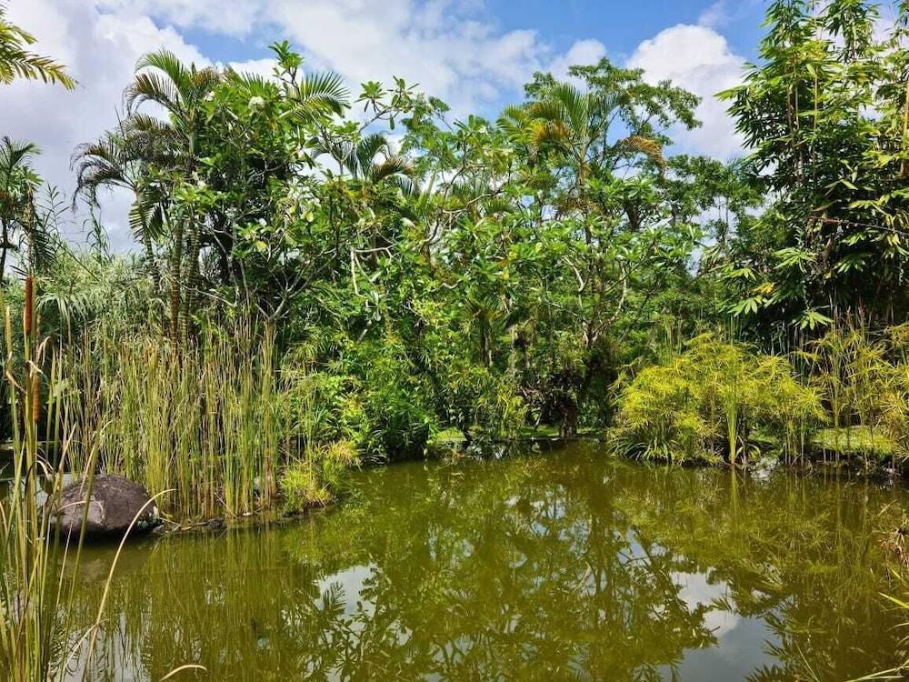 Готель Ayurvedagram Bali Убуд Екстер'єр фото
